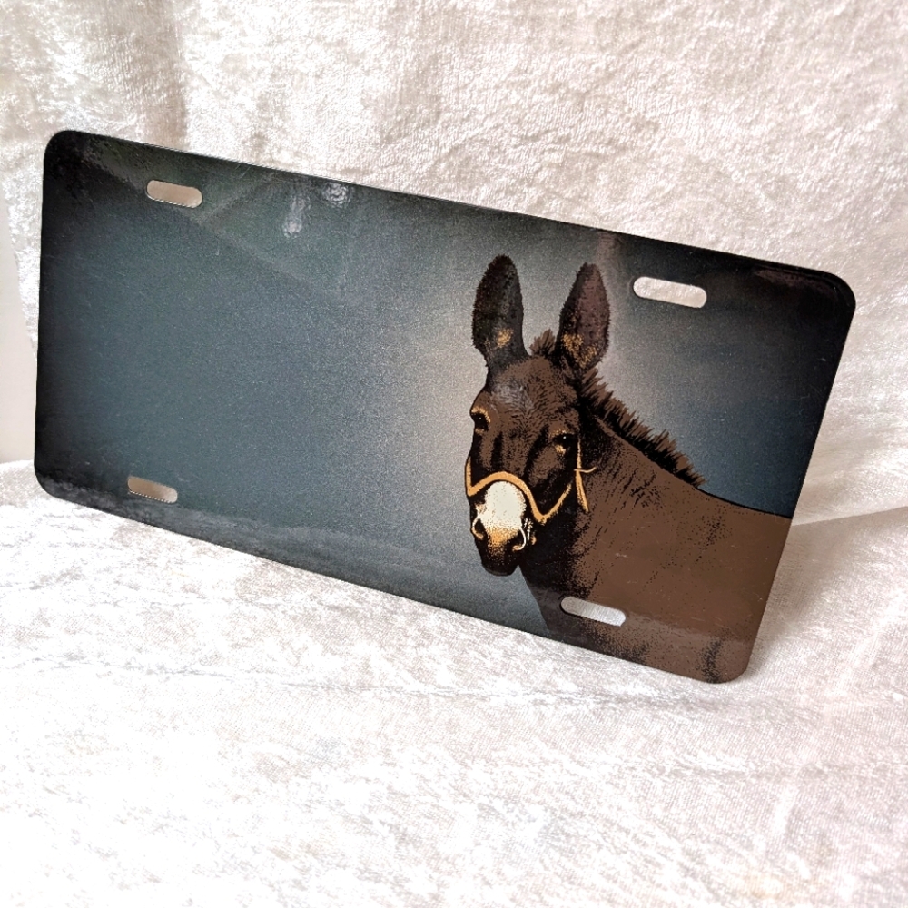 Donkey License Plate 🤣